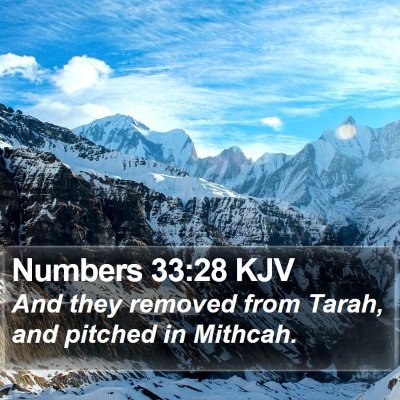 Numbers 33:28 KJV Bible Verse Image