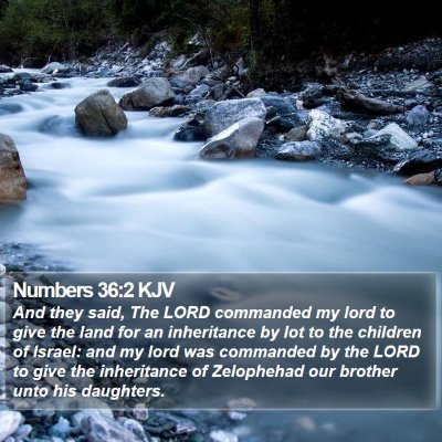 Numbers 36:2 KJV Bible Verse Image