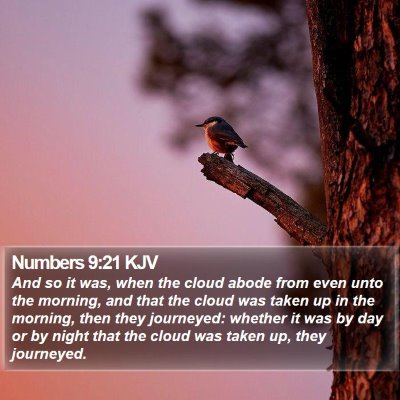 Numbers 9:21 KJV Bible Verse Image