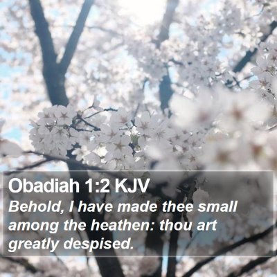 Obadiah 1:2 KJV Bible Verse Image