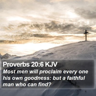 Proverbs 20:6 KJV Bible Verse Image
