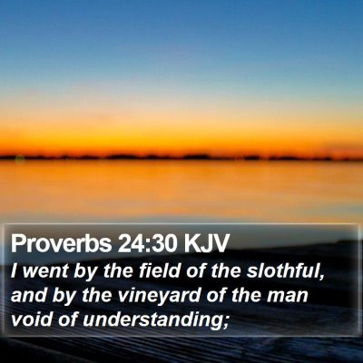 Proverbs 24:30 KJV Bible Verse Image