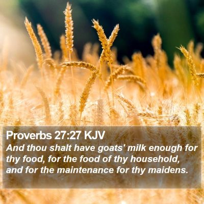 Proverbs 27:27 KJV Bible Verse Image