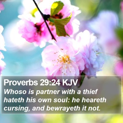 Proverbs 29:24 KJV Bible Verse Image
