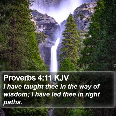 Proverbs 4:11 KJV Bible Verse Image