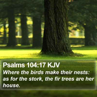 Psalms 104:17 KJV Bible Verse Image