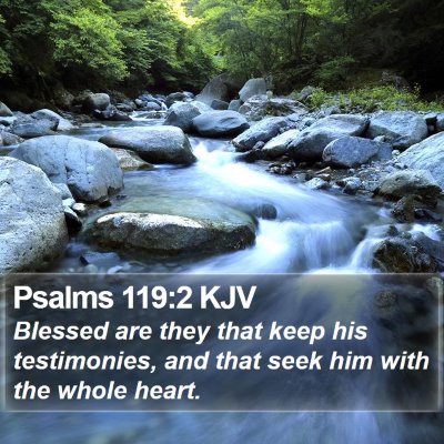 Psalms 119:2 KJV Bible Verse Image