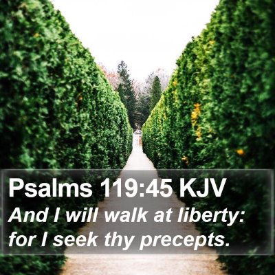 Psalms 119:45 KJV Bible Verse Image