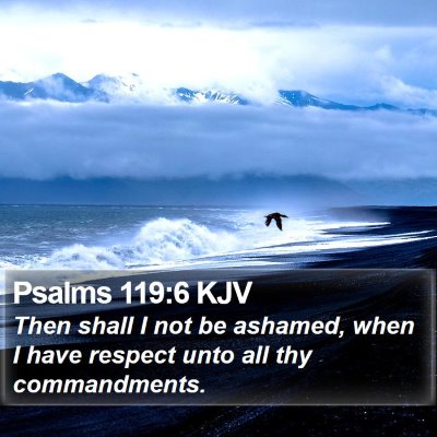 Psalms 119:6 KJV Bible Verse Image