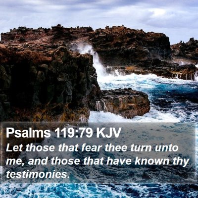 Psalms 119:79 KJV Bible Verse Image
