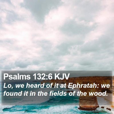 Psalms 132:6 KJV Bible Verse Image