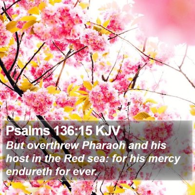 Psalms 136:15 KJV Bible Verse Image