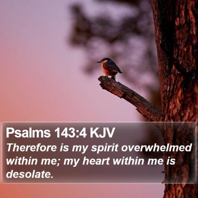 Psalms 143:4 KJV Bible Verse Image