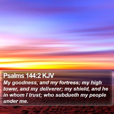 Psalms 144:2 KJV Bible Verse Image
