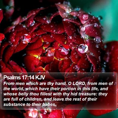 Psalms 17:14 KJV Bible Verse Image