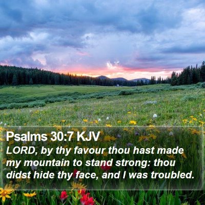 Psalms 30:7 KJV Bible Verse Image