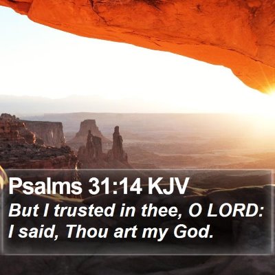 Psalms 31:14 KJV Bible Verse Image
