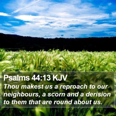 Psalms 44:13 KJV Bible Verse Image