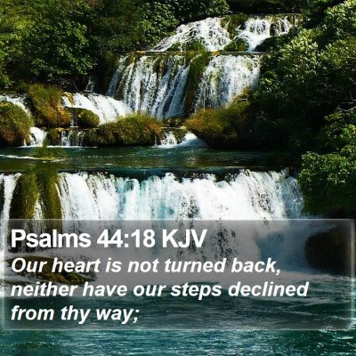 Psalms 44:18 KJV Bible Verse Image
