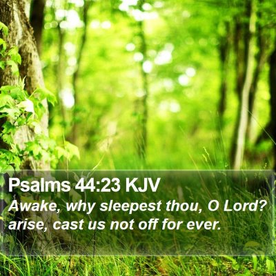 Psalms 44:23 KJV Bible Verse Image