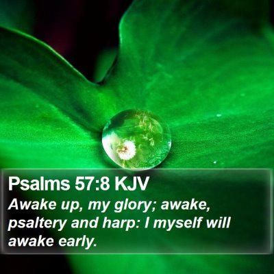 Psalms 57:8 KJV Bible Verse Image