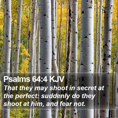 Psalms 64:4 KJV Bible Verse Image