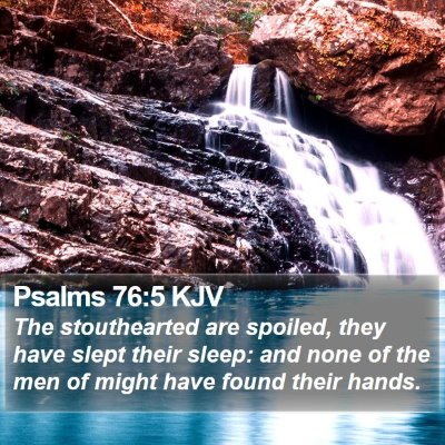 Psalms 76:5 KJV Bible Verse Image