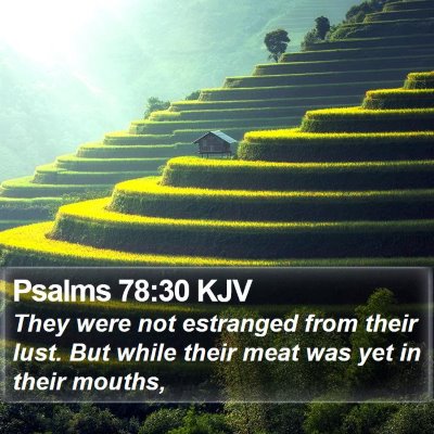 Psalms 78:30 KJV Bible Verse Image