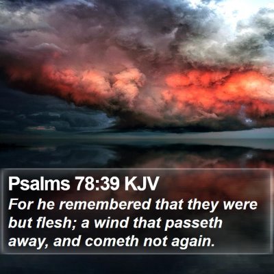 Psalms 78:39 KJV Bible Verse Image