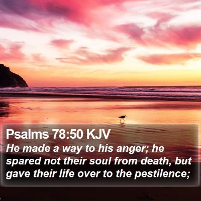 Psalms 78:50 KJV Bible Verse Image