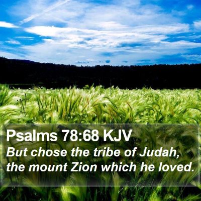 Psalms 78:68 KJV Bible Verse Image