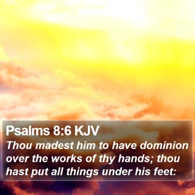 Psalms 8:6 KJV Bible Verse Image