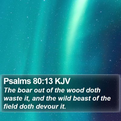 Psalms 80:13 KJV Bible Verse Image