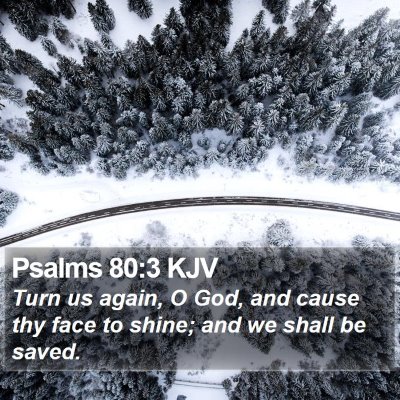 Psalms 80:3 KJV Bible Verse Image