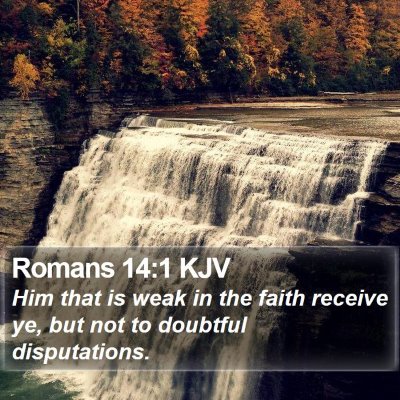 Romans 14:1 KJV Bible Verse Image
