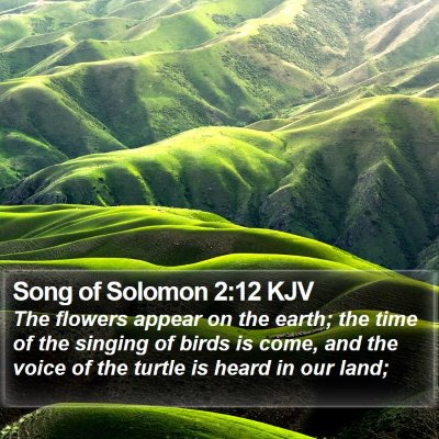 Song of Solomon 2:12 KJV Bible Verse Image