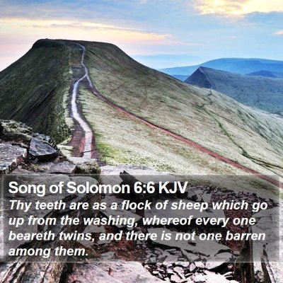 Song of Solomon 6:6 KJV Bible Verse Image