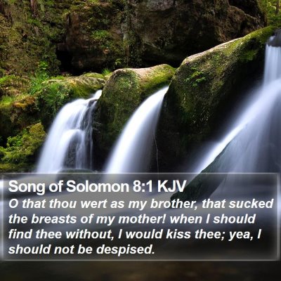 Song of Solomon 8:1 KJV Bible Verse Image