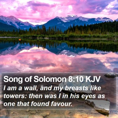 Song of Solomon 8:10 KJV Bible Verse Image