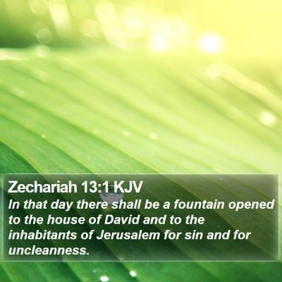 Zechariah 13:1 KJV Bible Verse Image