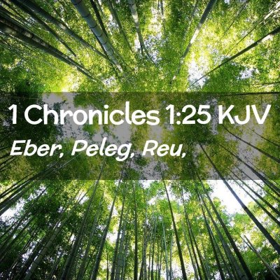 Picture 02 - 1 Chronicles 1:25 KJV - Eber, Peleg, - Bible Verse Picture