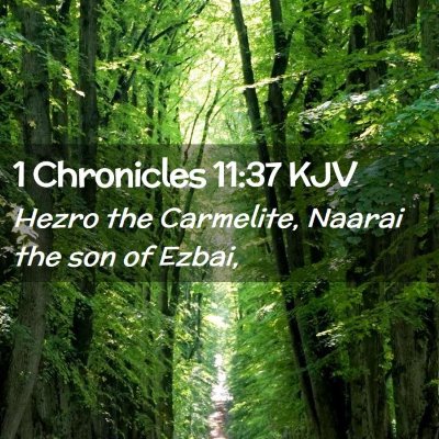 Picture 02 - 1 Chronicles 11:37 KJV - Hezro the Carmelite, Naarai the son of - Bible Verse Picture
