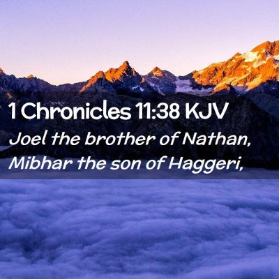 Picture 02 - 1 Chronicles 11:38 KJV - Joel the brother of Nathan, Mibhar the son of - Bible Verse Picture