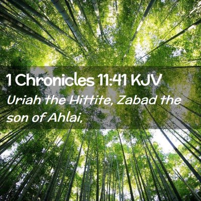 Picture 02 - 1 Chronicles 11:41 KJV - Uriah the Hittite, Zabad the son of - Bible Verse Picture