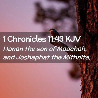 Picture 02 - 1 Chronicles 11:43 KJV - Hanan the son of Maachah, and Joshaphat the - Bible Verse Picture
