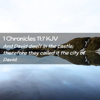 Picture 02 - 1 Chronicles 11:7 KJV - And David dwelt in the castle; therefore they - Bible Verse Picture