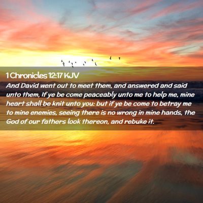 Picture 02 - 1 Chronicles 12:17 KJV - And David went out to meet them, and answered and - Bible Verse Picture