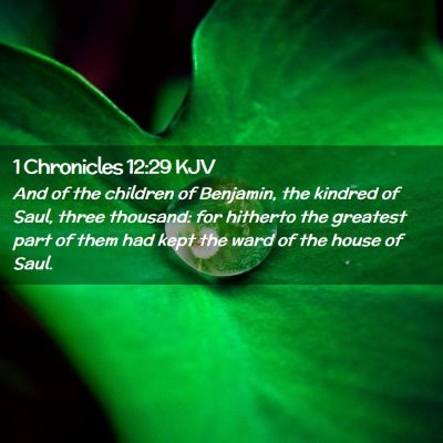 Picture 02 - 1 Chronicles 12:29 KJV - And of the children of Benjamin, the kindred of - Bible Verse Picture