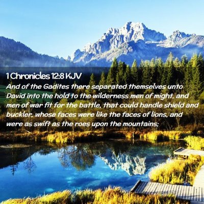 Picture 02 - 1 Chronicles 12:8 KJV - And of the Gadites there separated themselves - Bible Verse Picture