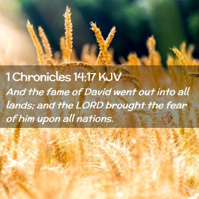 Picture 02 - 1 Chronicles 14:17 KJV - And the fame of David went out into all lands; - Bible Verse Picture